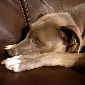 Meet your Posher, Randy